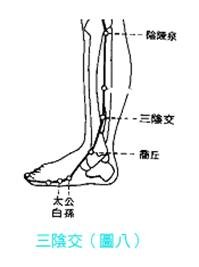 三陰交6.jpg