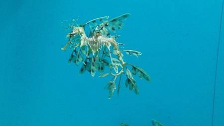 IMG_20131128_105325.jpg