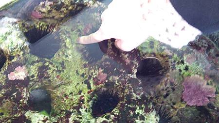 IMG_20131128_114041.jpg