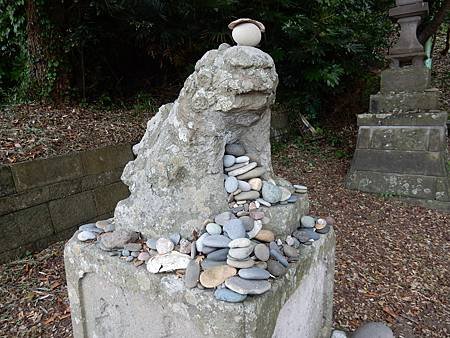 DSCN5355.JPG