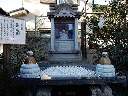 DSCN5779.JPG