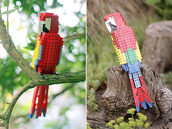 lego-birds-tom-poulsom-4__880