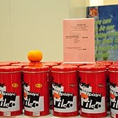 DSC_0586.JPG