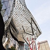 DSC_0208.JPG