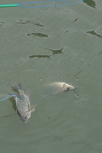 P1030069.JPG