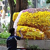 DSC_0583.JPG
