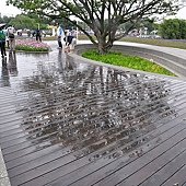 DSC_0179.JPG