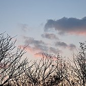DSC_0217.JPG