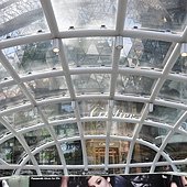 DSC_0211.JPG