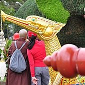 DSC_0210.JPG