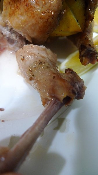 P1100064.JPG