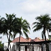 DSC_0489.JPG