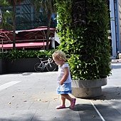 DSC_0175.JPG