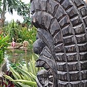 DSC_0244.JPG