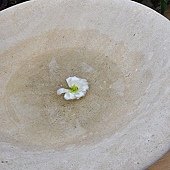 DSC_0243.JPG