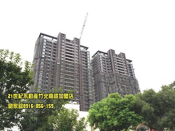 大觀自若2.jpg