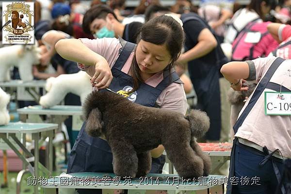 動物王國寵物美容學苑