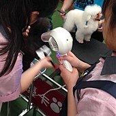 動物王國寵物美容學苑