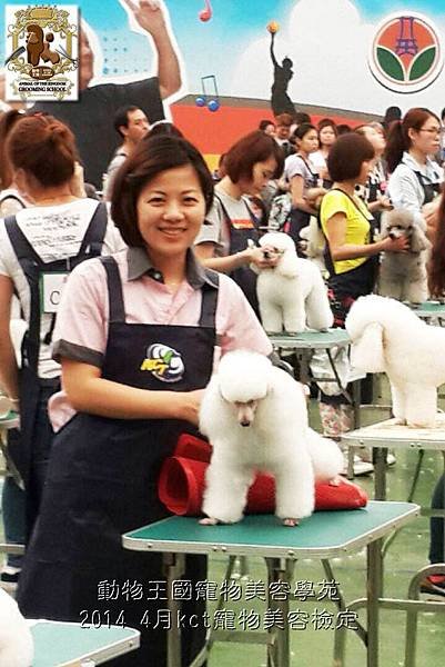 動物王國寵物美容學苑