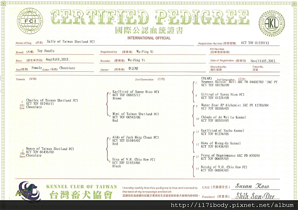 KCT TOY 0155912 趴趴