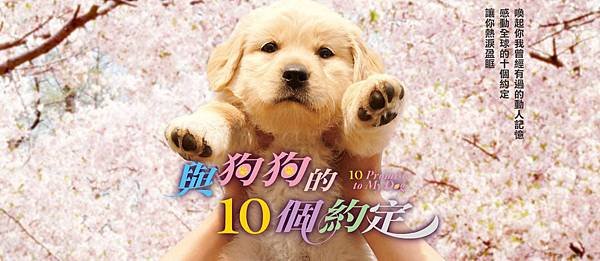 與狗狗的10個約定