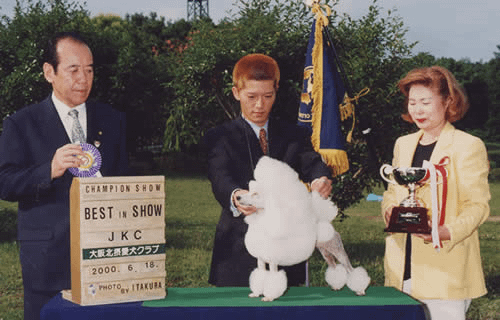 2000 All Breed NO.3 &amp; Pedigree Award in Japan