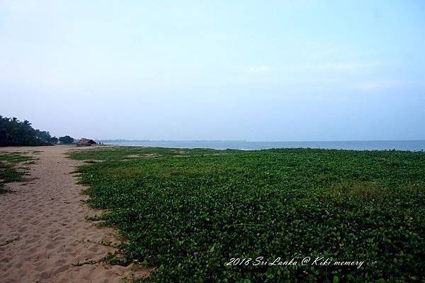 DSC06472_副本.jpg