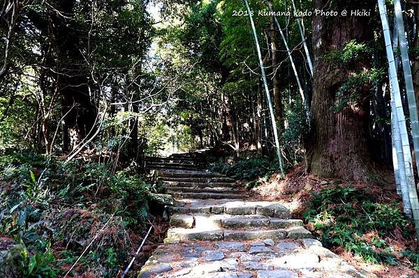 DSC01903_副本.jpg