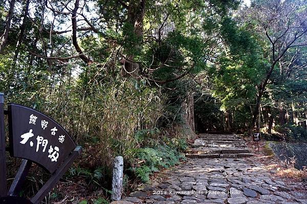 DSC01918_副本.jpg