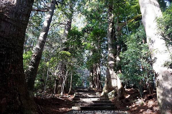 DSC01916_副本.jpg