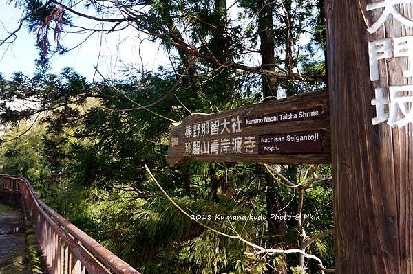 DSC01961_副本.jpg