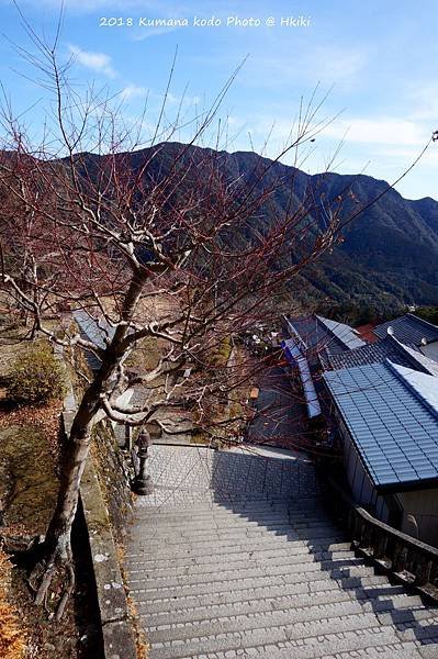 DSC02024_副本.jpg