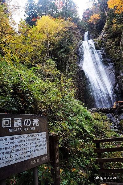 DSC07980_副本.jpg