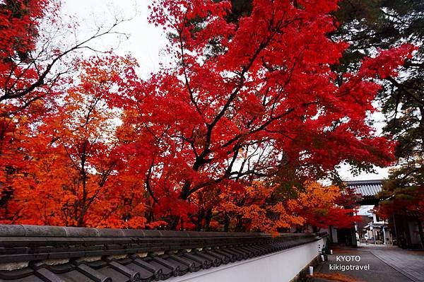 DSC00436_副本.jpg
