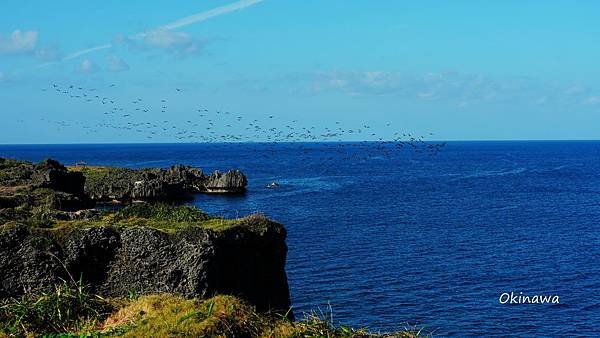DSC01129_副本.jpg