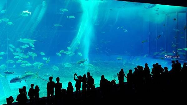 DSC01182_副本.jpg
