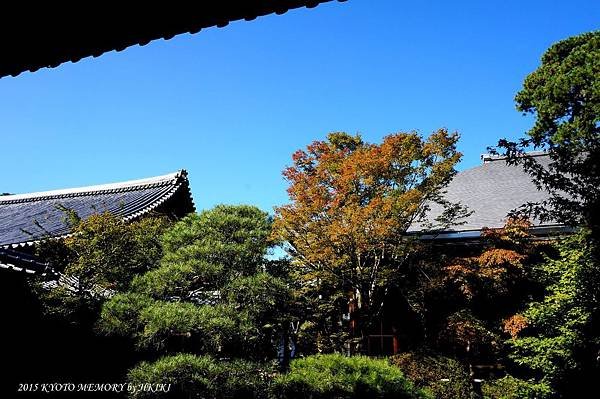 DSC02873_副本.jpg