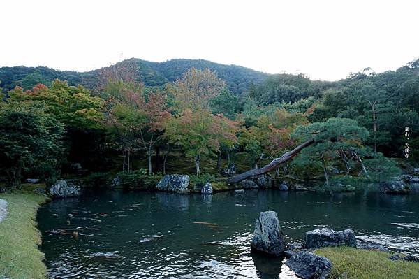 DSC03993_副本.jpg