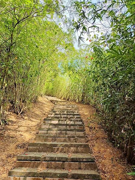 苗栗|搭乘台灣好行南庄線，探訪頭份後花園-老崎古道登山健行步