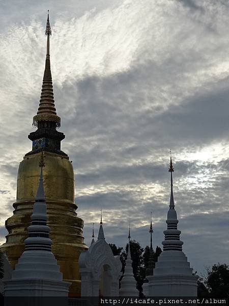 1130wat suan dork