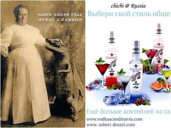 vodka 明信片 1.jpg