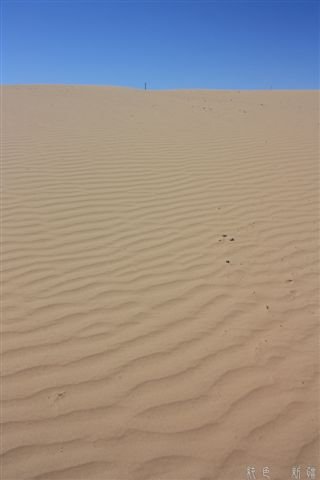 IMG_0674.JPG
