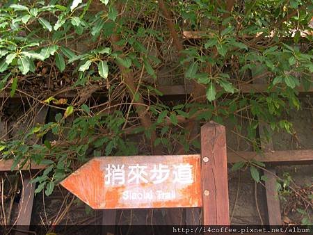 20111010捎來步道1