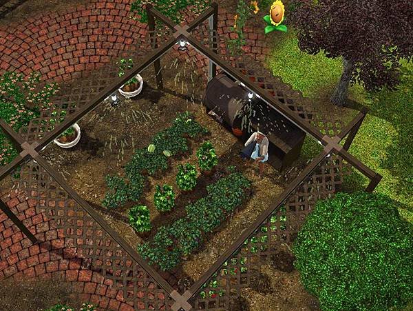 Greenhouse 4