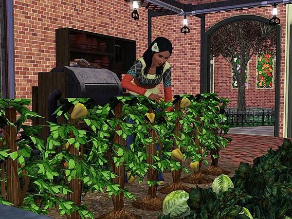 Greenhouse 6