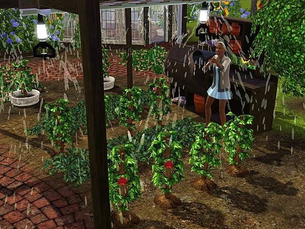 Greenhouse 3