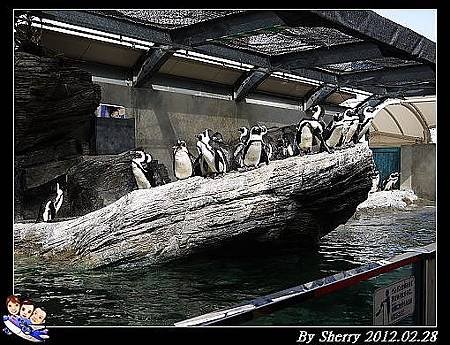 20120228_017
