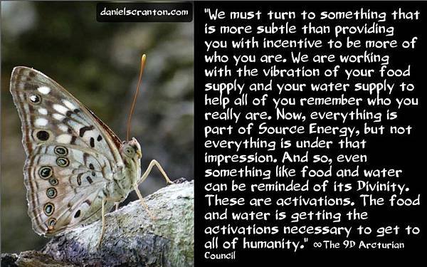 the-divinity-in-your-food-and-water-the-arcturian-council-channeled-by-daniel-scranton-channeler-768x479.jpg