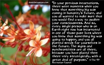 planting-seeds-in-past-lives-the-9th-dimensional-arcturian-council-channeled-by-daniel-scranton-400x250.jpg