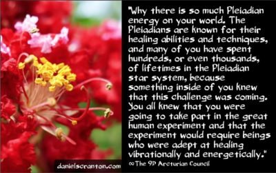 pleiadian-energies-on-a-timeline-to-heal-humanity-the-9th-dimensional-arcturian-council-channeled-by-daniel-scranton-400x251.jpg